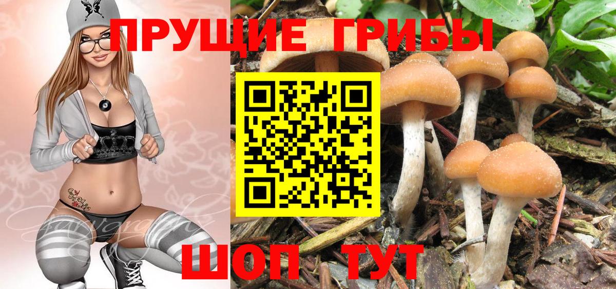 Сегежа  Псилоцибиновые грибы Magic Shrooms  Вход с VPN 