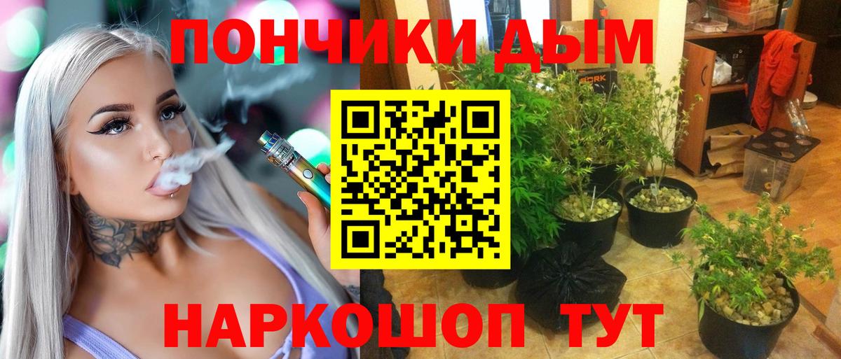 Бошки Шишки тримм Сегежа
